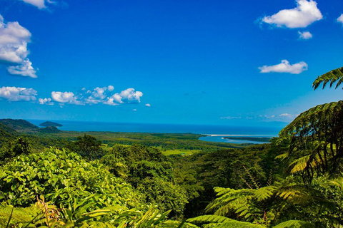 Cape Tribulation Day Tour - Accommodation Brisbane 3