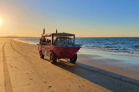 Town Of 1770 Afternoon Cruise - Accommodation Brisbane 1