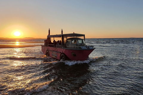 Town Of 1770 Afternoon Cruise - Accommodation Brisbane 3