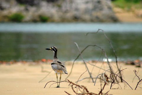 1770 Coastline Tour By LARC Amphibious Vehicle Including Picnic Lunch - Accommodation Brisbane 3
