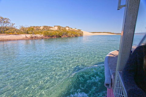 1770 Coastline Tour By LARC Amphibious Vehicle Including Picnic Lunch - Accommodation Brisbane 5