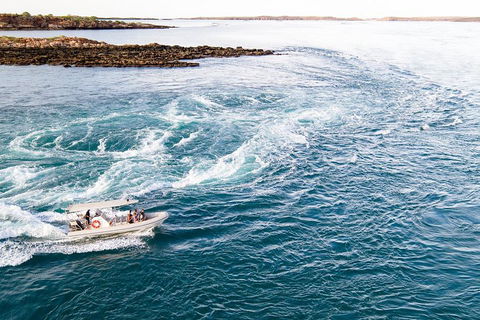 Giant Tides Tour - Cygnet Bay Pearl Farm - Accommodation Brisbane 4