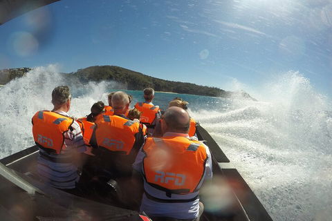 Noosa Thriller - 500hp Ocean Adventure Ride - Accommodation Brisbane 3