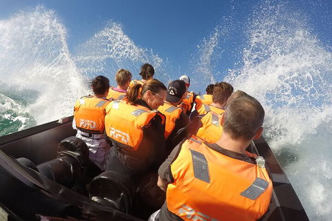Noosa Thriller - 500hp Ocean Adventure Ride - Accommodation Brisbane 4