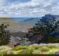 Blue Mountains Private Tour - wild kangaroos waterfalls and The Three Sisters - Accommodation Brisbane