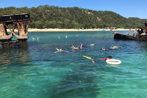 All Inclusive Dolphin And Tangalooma Wrecks Cruise - Accommodation Brisbane 0