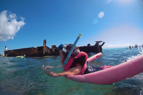All Inclusive Dolphin And Tangalooma Wrecks Cruise - Accommodation Brisbane 2