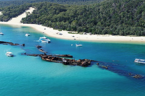 All Inclusive Dolphin And Tangalooma Wrecks Cruise - Accommodation Brisbane 4