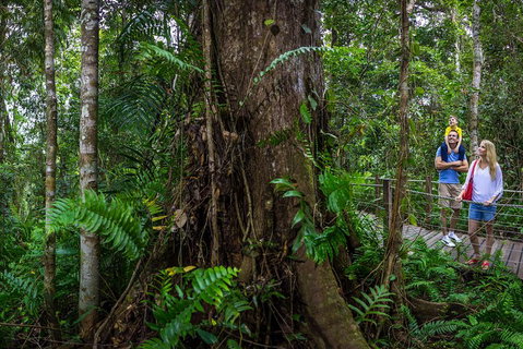 Kuranda Day Tour + HotAir Balloon Combo - Accommodation Brisbane 3