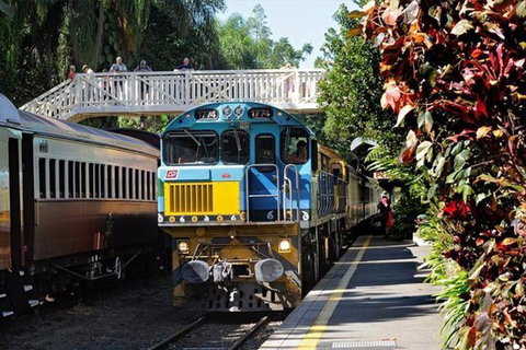 Kuranda Day Tour + HotAir Balloon Combo - Accommodation Brisbane 4
