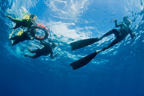 Passions Of Paradise Great Barrier Reef Snorkel And Dive Cruise From Cairns By Luxury Catamaran - Accommodation Brisbane 2