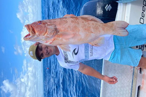 3/4 Day 7 Hour Offshore Fishing Charter - Accommodation Brisbane 5