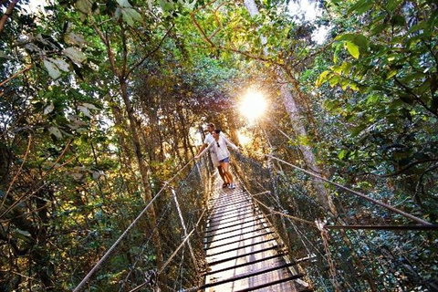O'Reilly's & Lamington National Park From Brisbane - Accommodation Brisbane 5