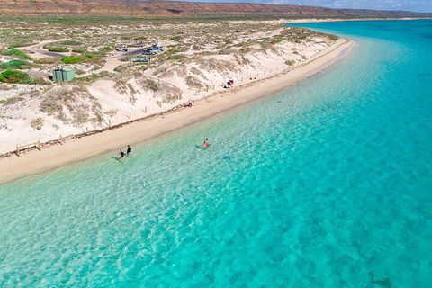 Ningaloo In A Day - Full Day Hike And Snorkel Tour With Lunch - Accommodation Brisbane 0