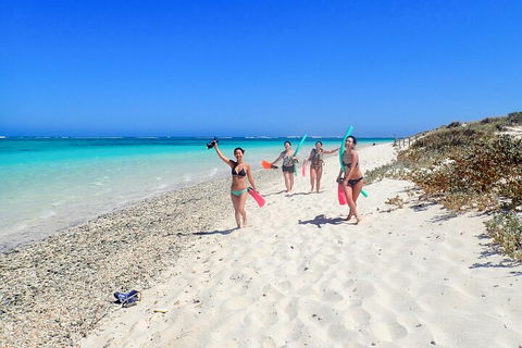 Ningaloo In A Day - Full Day Hike And Snorkel Tour With Lunch - Accommodation Brisbane 1