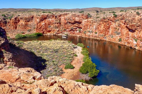 Ningaloo In A Day - Full Day Hike And Snorkel Tour With Lunch - Accommodation Brisbane 2