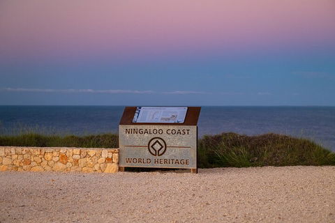 Ningaloo In A Day - Full Day Hike And Snorkel Tour With Lunch - Accommodation Brisbane 5