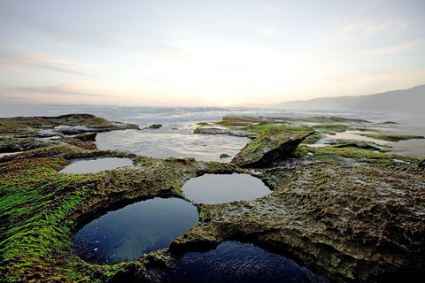 LGBT+ Friendly 3 Day Private Tour Great Ocean Road & Phillip Island - Accommodation Brisbane 5