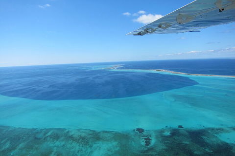 Shipwreck Special Full Day Tour Of The Abrolhos Islands - Accommodation Brisbane 2