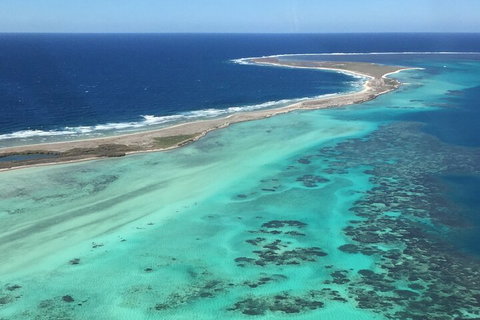 Pink Lake + Abrolhos Islands Nature Tour - Accommodation Brisbane 2