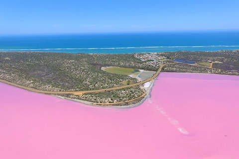 Pink Lake + Abrolhos Islands Nature Tour - Accommodation Brisbane 4
