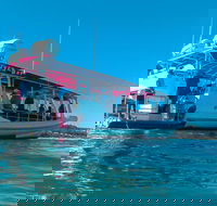 Best of Moreton Bay Cruise - Accommodation Brisbane