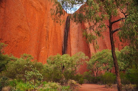 Uluru Sunrise And Guided Base Walk - Accommodation Brisbane 3