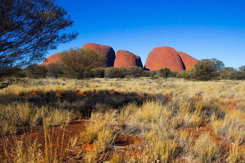 Kata Tjuta Sunrise And Valley Of The Winds Half-Day Trip - Accommodation Brisbane 1