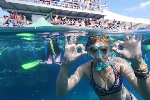 Great Barrier Reef Day Cruise From Cairns Including Snorkeling And Marine Biologist Presentation - Accommodation Brisbane 0
