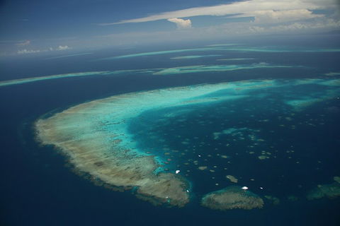 Great Barrier Reef Day Cruise From Cairns Including Snorkeling And Marine Biologist Presentation - Accommodation Brisbane 1