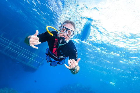 Great Barrier Reef Day Cruise From Cairns Including Snorkeling And Marine Biologist Presentation - Accommodation Brisbane 3