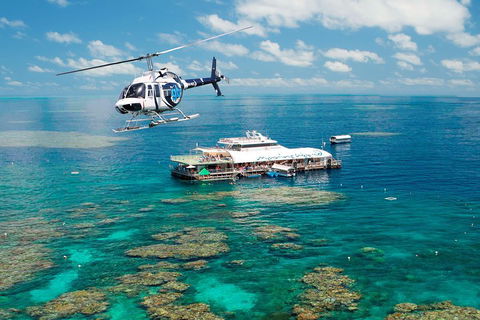 Great Barrier Reef Day Cruise From Cairns Including Snorkeling And Marine Biologist Presentation - Accommodation Brisbane 5