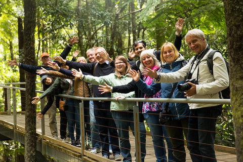 All Inclusive Blue Mountains Small-Group Day Trip From Sydney - Accommodation Brisbane 5