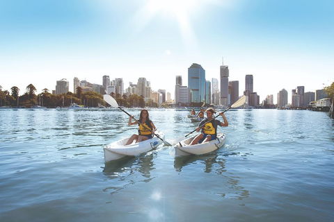Brisbane Kayak Tour - Accommodation Brisbane 0