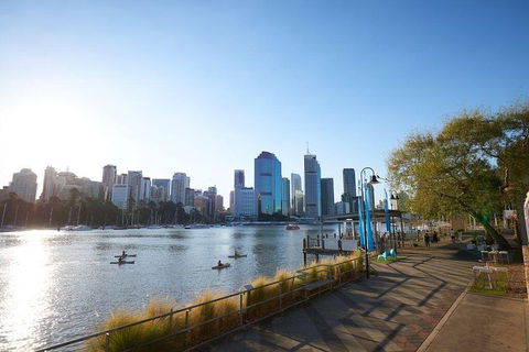 Brisbane Kayak Tour - Accommodation Brisbane 1