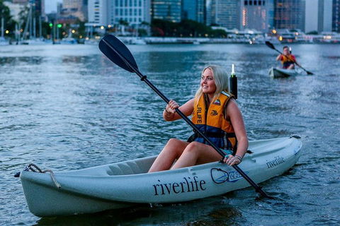 Brisbane Kayak Tour - Accommodation Brisbane 2