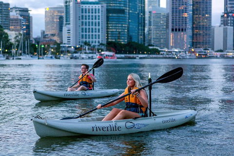 Brisbane Kayak Tour - Accommodation Brisbane 3