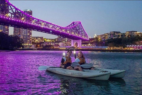 Brisbane Kayak Tour - Accommodation Brisbane 4