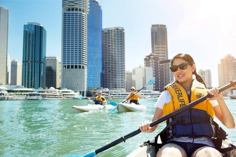 Brisbane Kayak Tour - Accommodation Brisbane 5