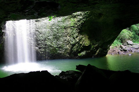 Natural Bridge & Springbrook Waterfalls Tour + Hot Air Balloon With Breakfast - Accommodation Brisbane 2
