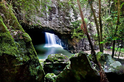 Natural Bridge & Springbrook Waterfalls Tour + Hot Air Balloon With Breakfast - Accommodation Brisbane 4