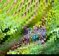 Tasmanian Wine Tour - Accommodation Brisbane