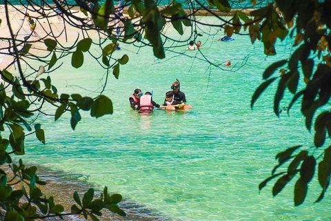 Green Island Day Trip From Cairns - Accommodation Brisbane 2