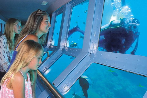 Quicksilver Outer Great Barrier Reef Snorkel Cruise From Port Douglas - Accommodation Brisbane 1