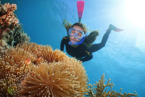 Quicksilver Outer Great Barrier Reef Snorkel Cruise From Port Douglas - Accommodation Brisbane 2