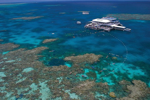 Quicksilver Outer Great Barrier Reef Snorkel Cruise From Port Douglas - Accommodation Brisbane 3