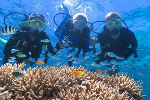Quicksilver Outer Great Barrier Reef Snorkel Cruise From Port Douglas - Accommodation Brisbane 4