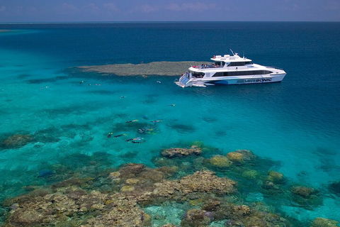 Silversonic Outer Great Barrier Reef Dive And Snorkel Cruise From Port Douglas - Accommodation Brisbane 2