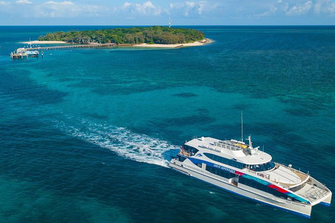 Ultimate 3-Day Great Barrier Reef Cruise Pass - Accommodation Brisbane 4