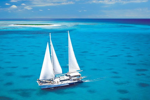 Ultimate 3-Day Great Barrier Reef Cruise Pass - Accommodation Brisbane 5